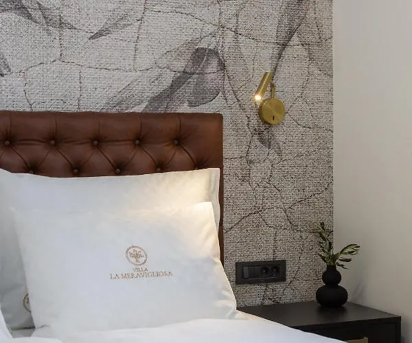 La Meravigliosa Villa *